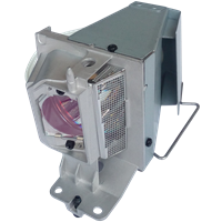 NEC PA672W-13ZL Lampada con supporto