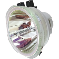 PANASONIC PT-DX100ELWJ (portrait) Lampada senza supporto