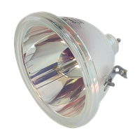 PHILIPS FOCUS ZZV703 100W Lampada senza supporto